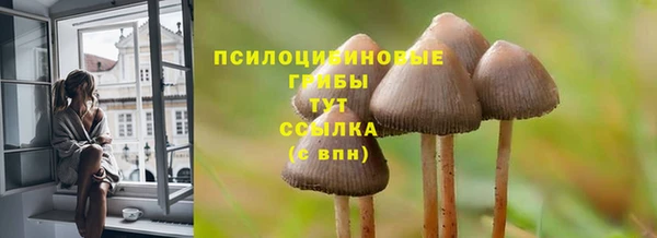 таблы Кукмор