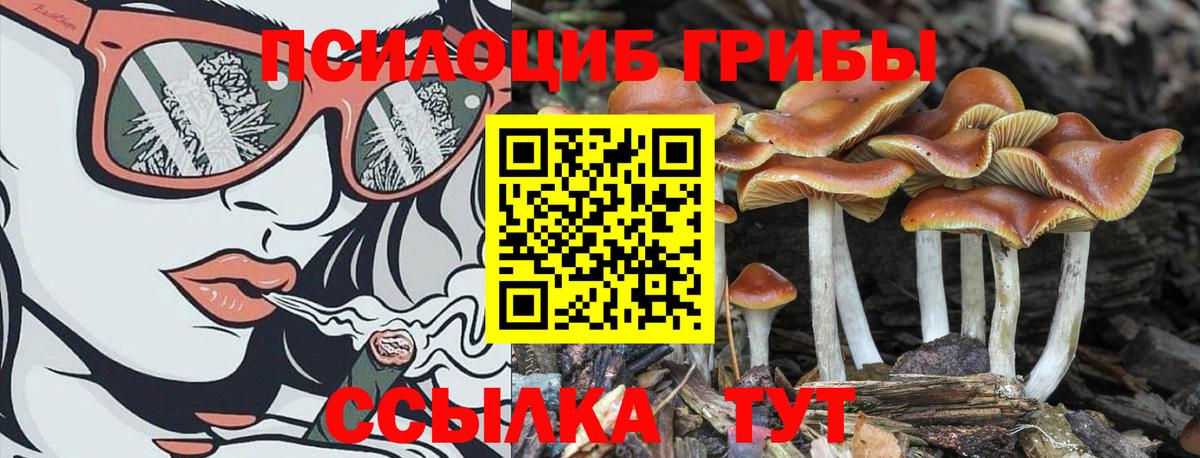 Галлюциногенные грибы GOLDEN TEACHER  Вход с VPN  Михайловка 