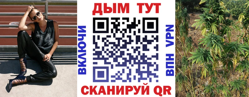 Конопля VHQ Михайловка